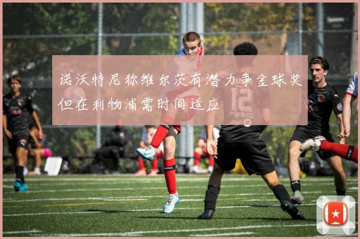 诺沃特尼称维尔茨有潜力争金球奖但在利物浦需时间适应